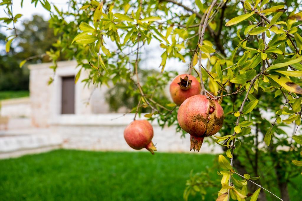Villa Masseria Paretano Alberobello Exterior foto